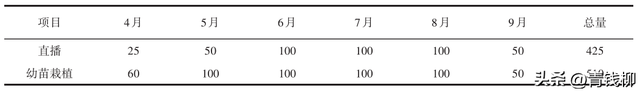 百日草直播栽培技术