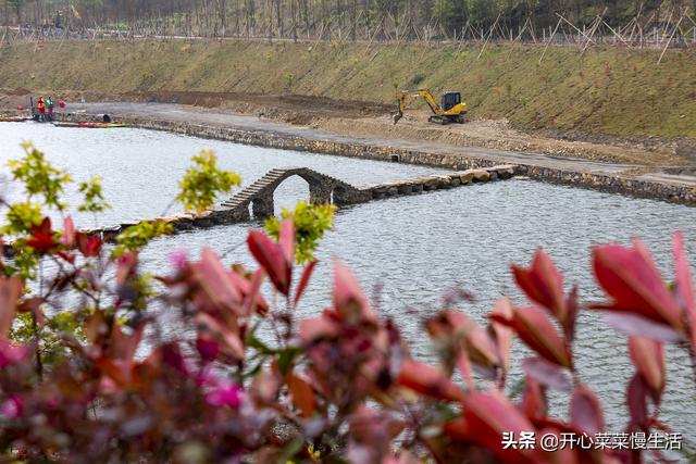 奇！广东小县城漫山遍野红似火，枫叶竟在春天变红，正是观赏季节