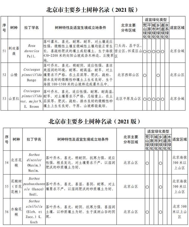 你知道北京有多少种树吗？一起来看