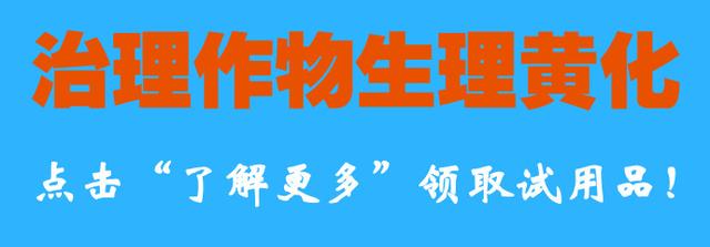 果农留意了，百香果主要品种介绍来了！