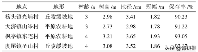 学习沉香栽培技术，打造优质奇楠沉香