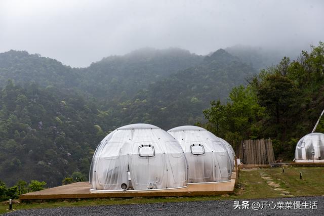 奇！广东小县城漫山遍野红似火，枫叶竟在春天变红，正是观赏季节