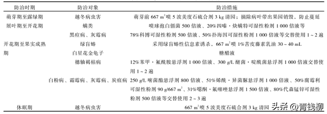 学习北疆夏黑葡萄优质栽培技术的关键步骤