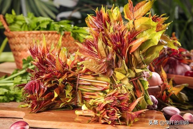 一亩大棚年入15万！香椿种植成致富新宠，你还在等什么？