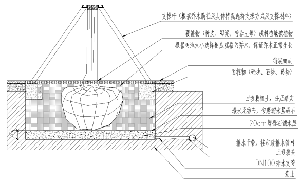 园林专家心得一列三｜苗木种植高要求