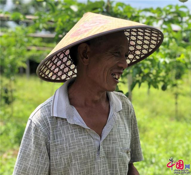 江西寻乌县南桥镇南龙村：百香果成致富果