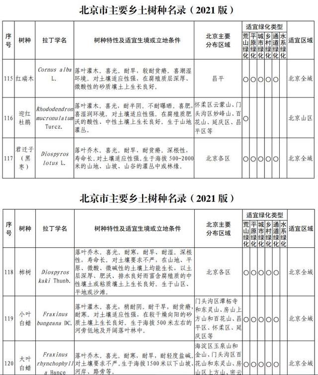 你知道北京有多少种树吗？一起来看