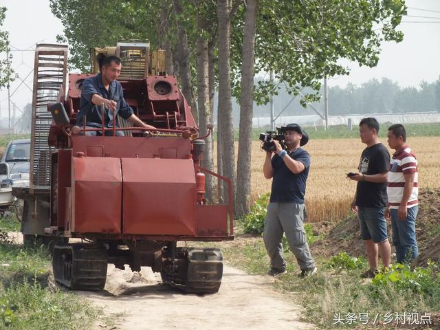 「画说」陈集山药好吃，从种植到收获你知道多少？