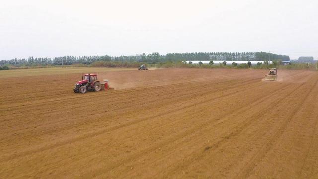 小麦种植与农民种植意愿的调查与分析