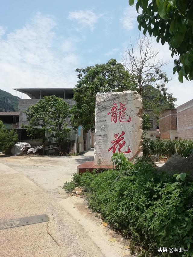 广西南宁市隆安县通乔公路旅途，深山里竟有大量九层皮