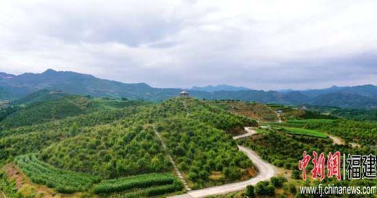 水碓村：油茶结出“致富果”，村民圆满“致富梦”