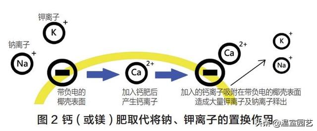 椰糠加工处理与质量控制要点，温室种植必读