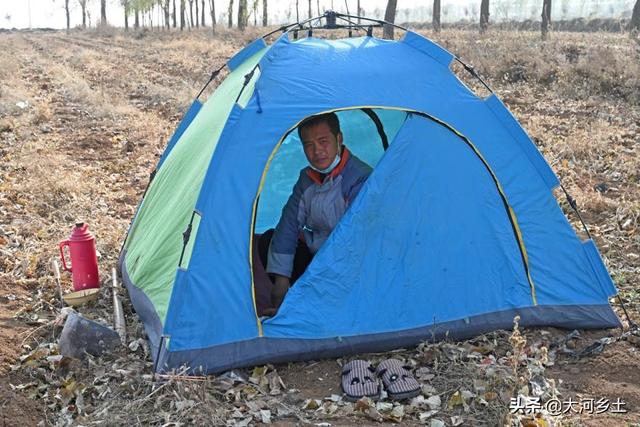 3年前种苍术，邻居劝我家少种点，谁知遇到好行情预计能挣60万