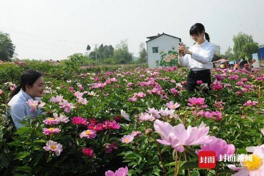 抢抓成渝双城经济圈、成德同城化双机遇 四川德阳力推这三个产业