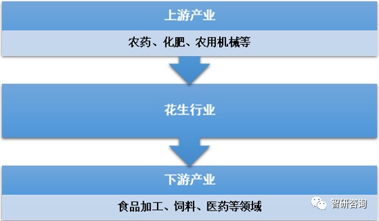 2018年中国花生种植面积为4619.66千公顷，产量达1733.2万吨