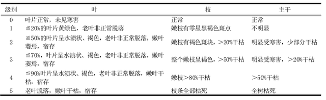 云南省西双版纳州景洪市诺丽栽培技术 诺丽适合种植区域要求