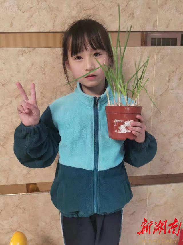 “植”此青绿，草药飘香——博才白鹤小学植树节中草药专题劳动课别具风味