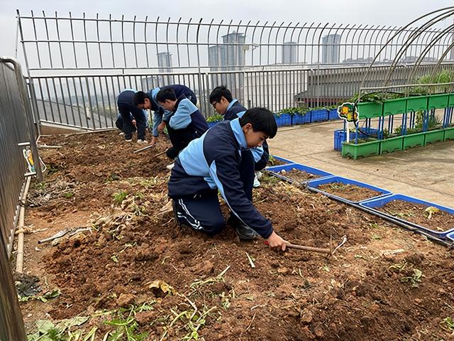 种植季，成都市熊猫路学子播下希望的种子，收获成长的快乐