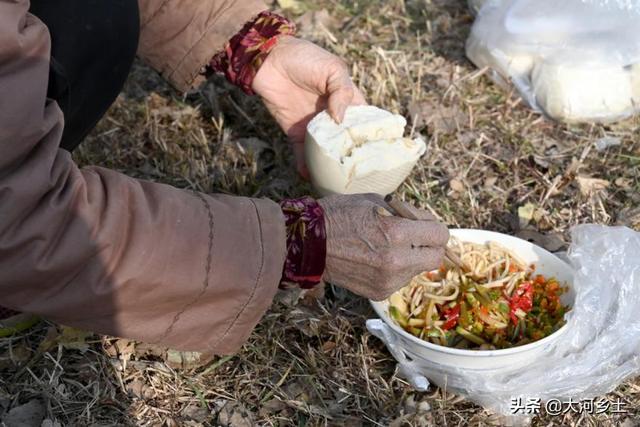 3年前种苍术，邻居劝我家少种点，谁知遇到好行情预计能挣60万