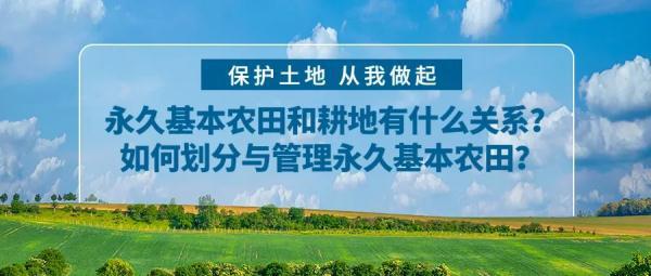 永久基本农田和耕地有什么关系？如何划分与管理永久基本农田？