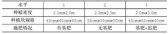 杉木采伐迹地良种杉木连栽及种植技术措施