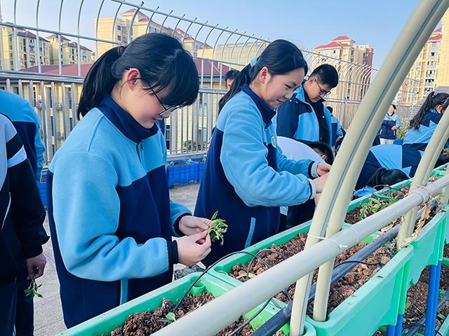 种植季，成都市熊猫路学子播下希望的种子，收获成长的快乐