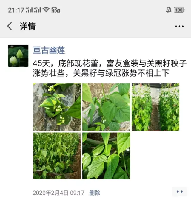 精心整理！！芸豆冬春茬栽培看这篇就够了