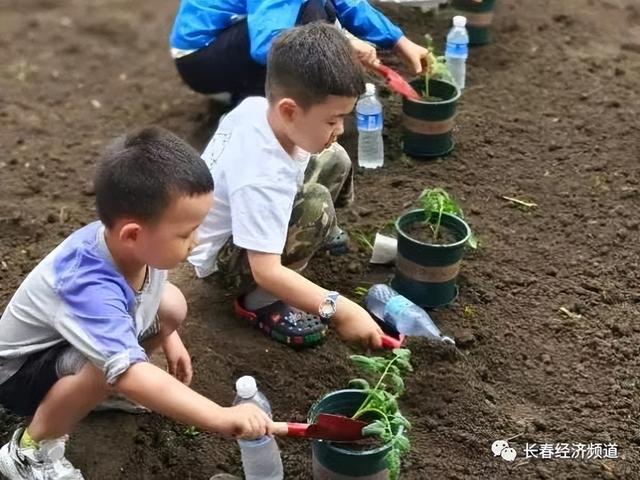 来了！9月8日开幕！这里的葡萄甜，快去尝鲜