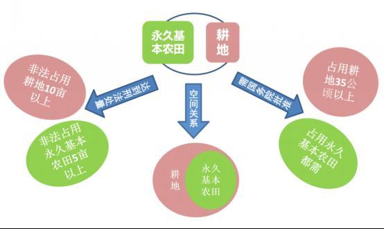 永久基本农田和耕地有什么关系？如何划分与管理永久基本农田？