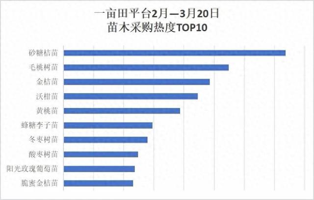 黄桃、金桔亩产值20000元！春耕季这些高收益种苗采购热度高！