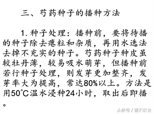 芍药种子什么时候种植？芍药花种子的种植方法