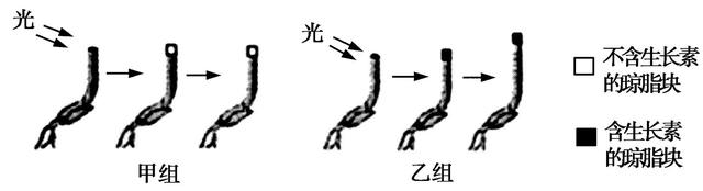 2018高考，以生长素为核心的植物激素会怎样考？