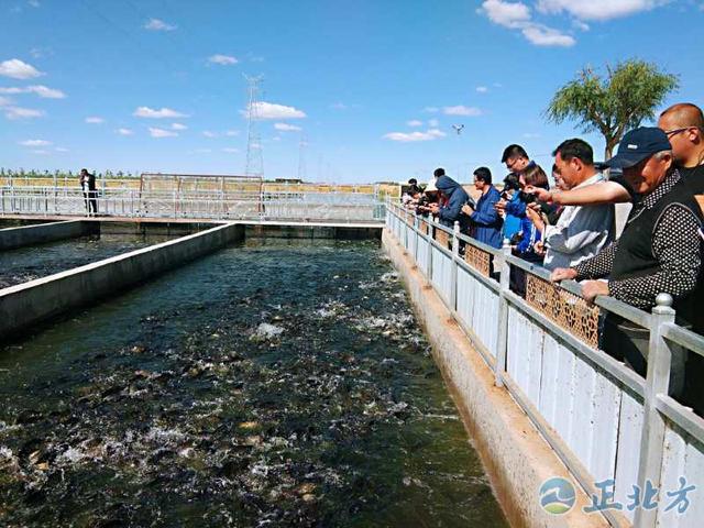 万里黄河第一闸：浇灌幸福河套 传承“总干精神”