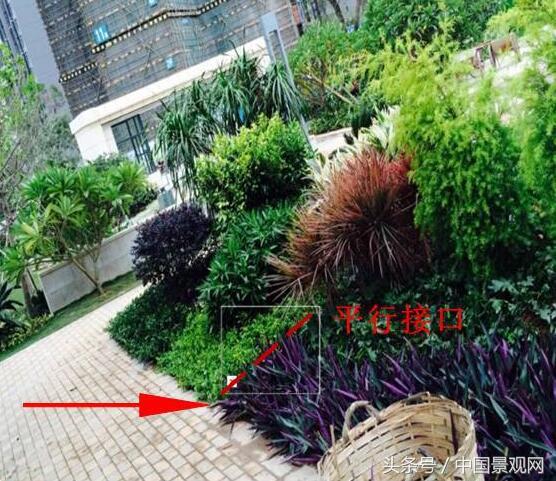 园林景观中的植物种植设计（种植图）