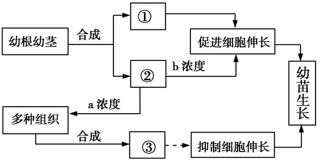 2018高考，以生长素为核心的植物激素会怎样考？