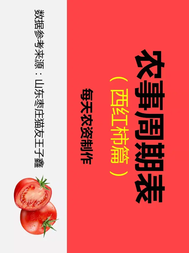 农事周期表（西红柿篇），关键节点大梳理