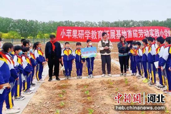 河北枣强一小学组织研学活动 学生现场体验种植劳作乐趣